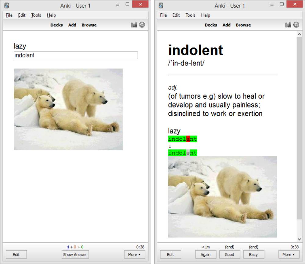 A digital flashcard displays the word 'indolent' with a definition, featuring an image of lounging polar bears.